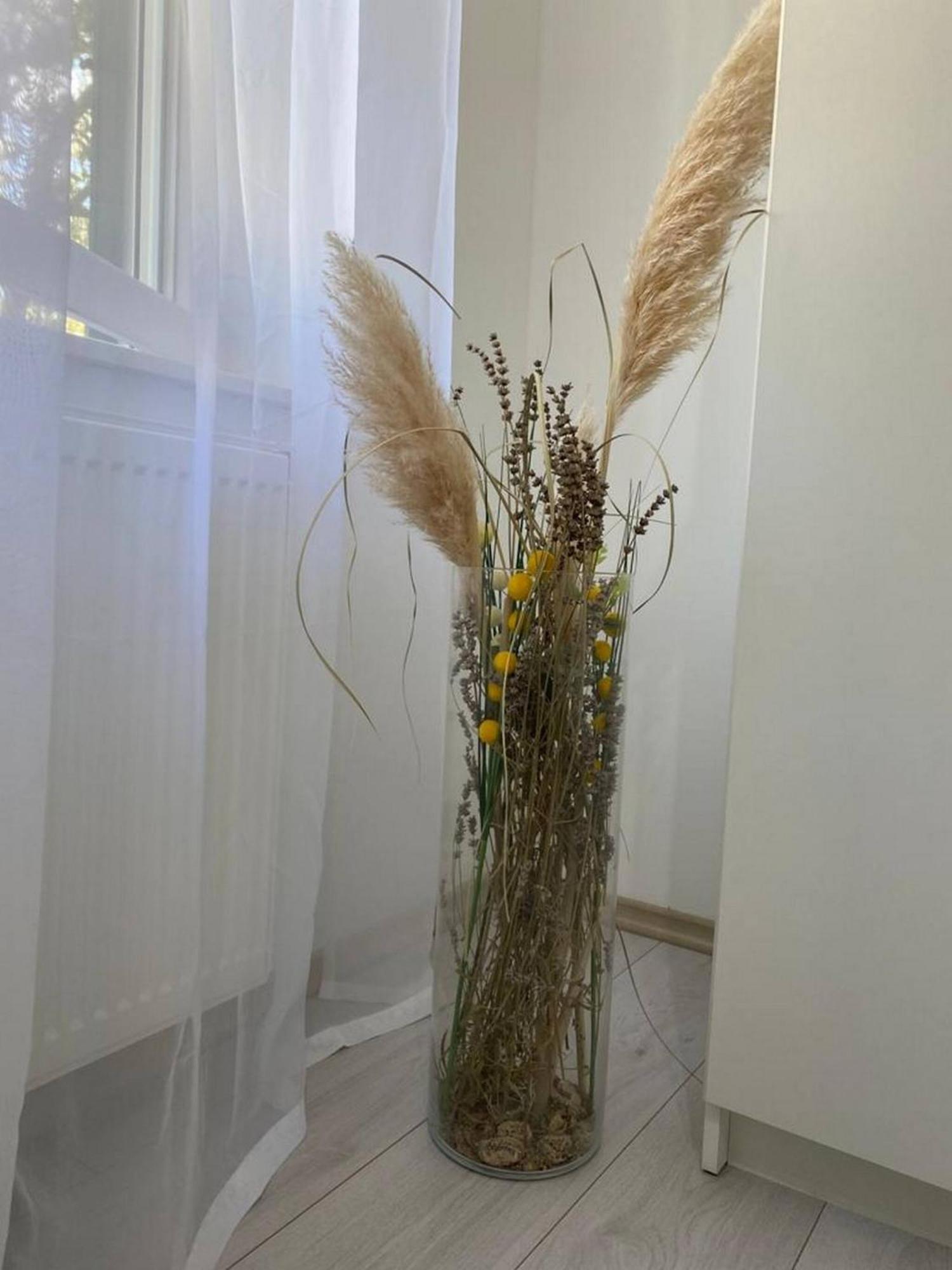 Rural Apartment Ante Drniš Kültér fotó