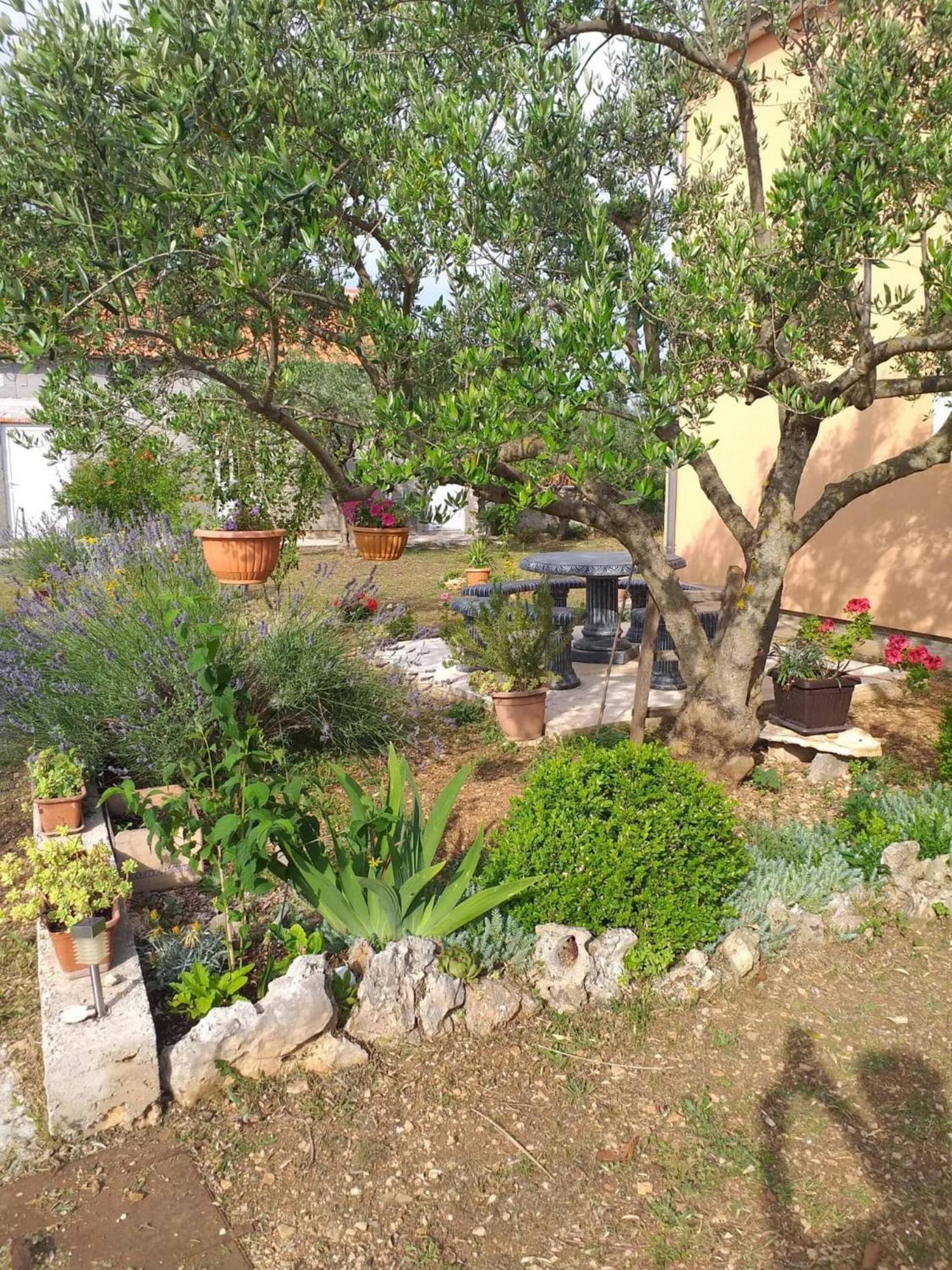 Rural Apartment Ante Drniš Kültér fotó